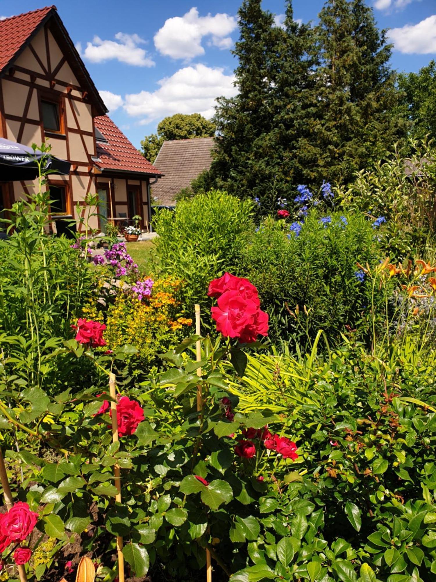 Ferienwohnung Peetsch Am See มิโรว์ ภายนอก รูปภาพ